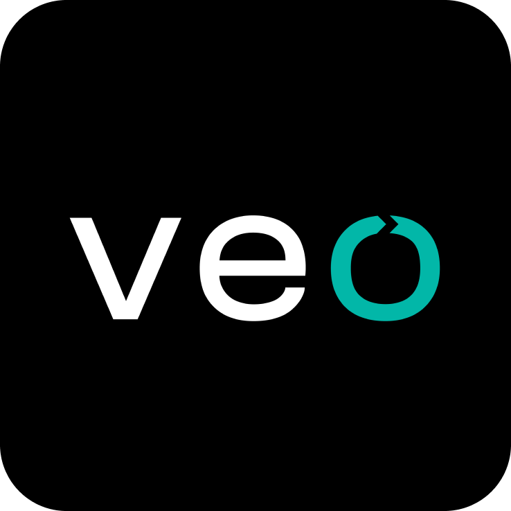 Veo logo